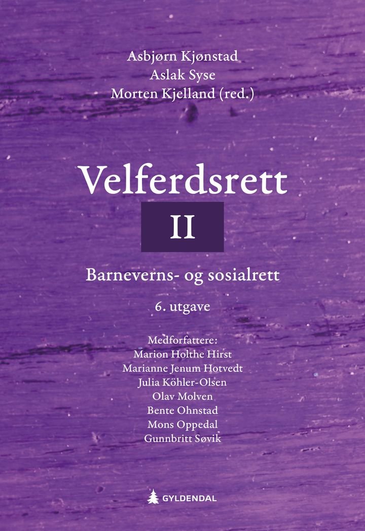 Velferdsrett II - barneverns- og sosialrett