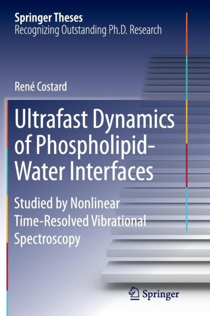 Ultrafast Dynamics of Phospholipid-Water Interfaces