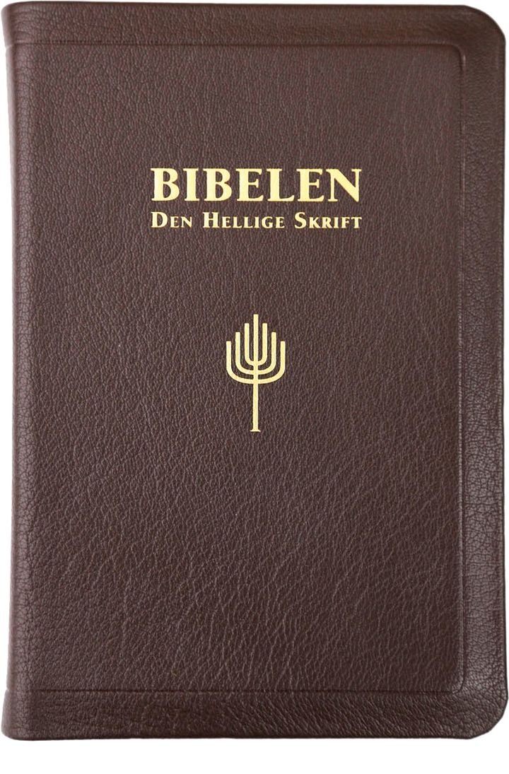 Bibelen - Den hellige skrift : Det gamle og Det nye testamentes kanoniske bøker