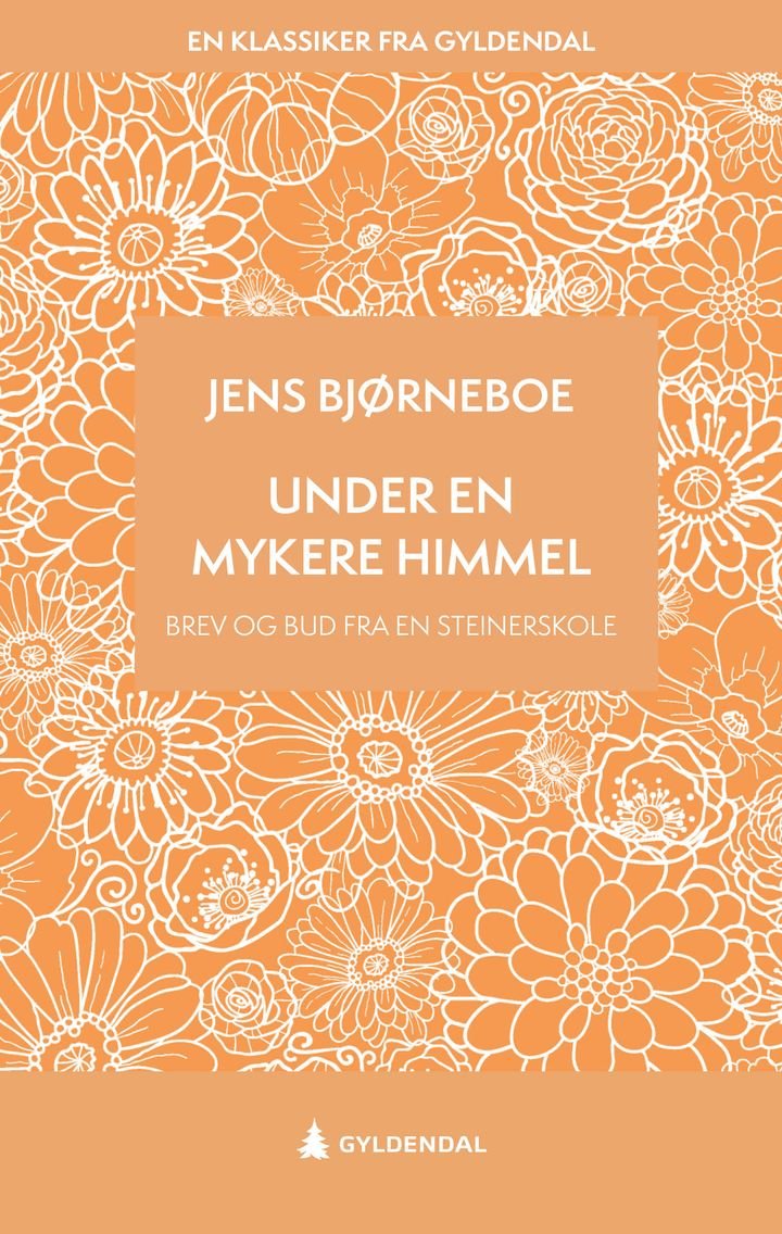 Under en mykere himmel - brev og bud fra en Steinerskole