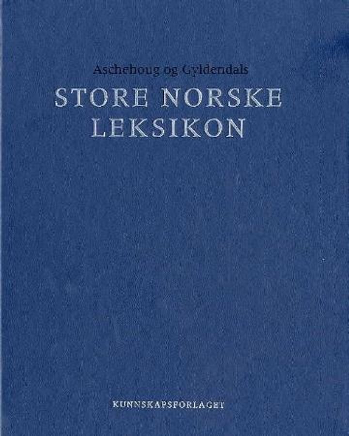 Aschehoug og Gyldendals store norske leksikon. Bd. 11