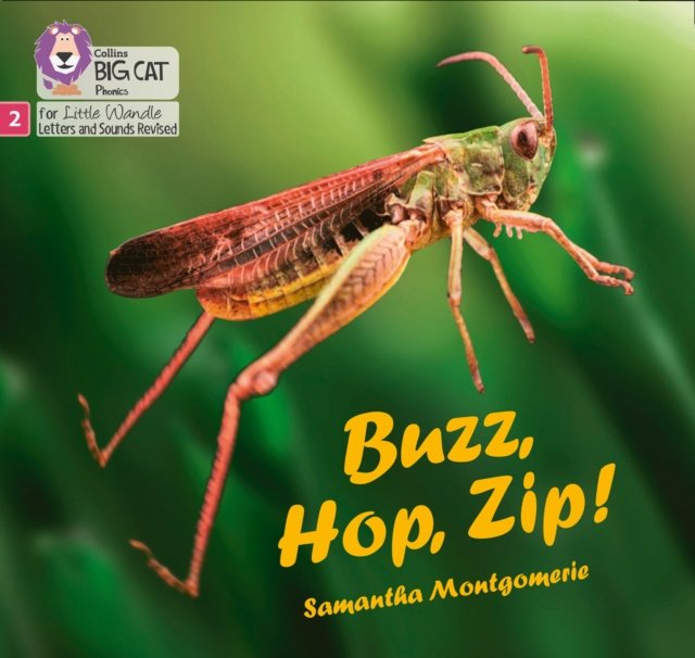 BIG CAT LW L&S _BUZZ HOP