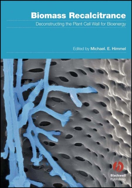 Biomass Recalcitrance