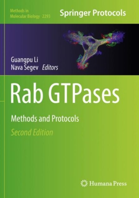 Rab GTPases