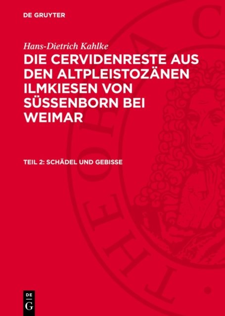 Schadel Und Gebisse