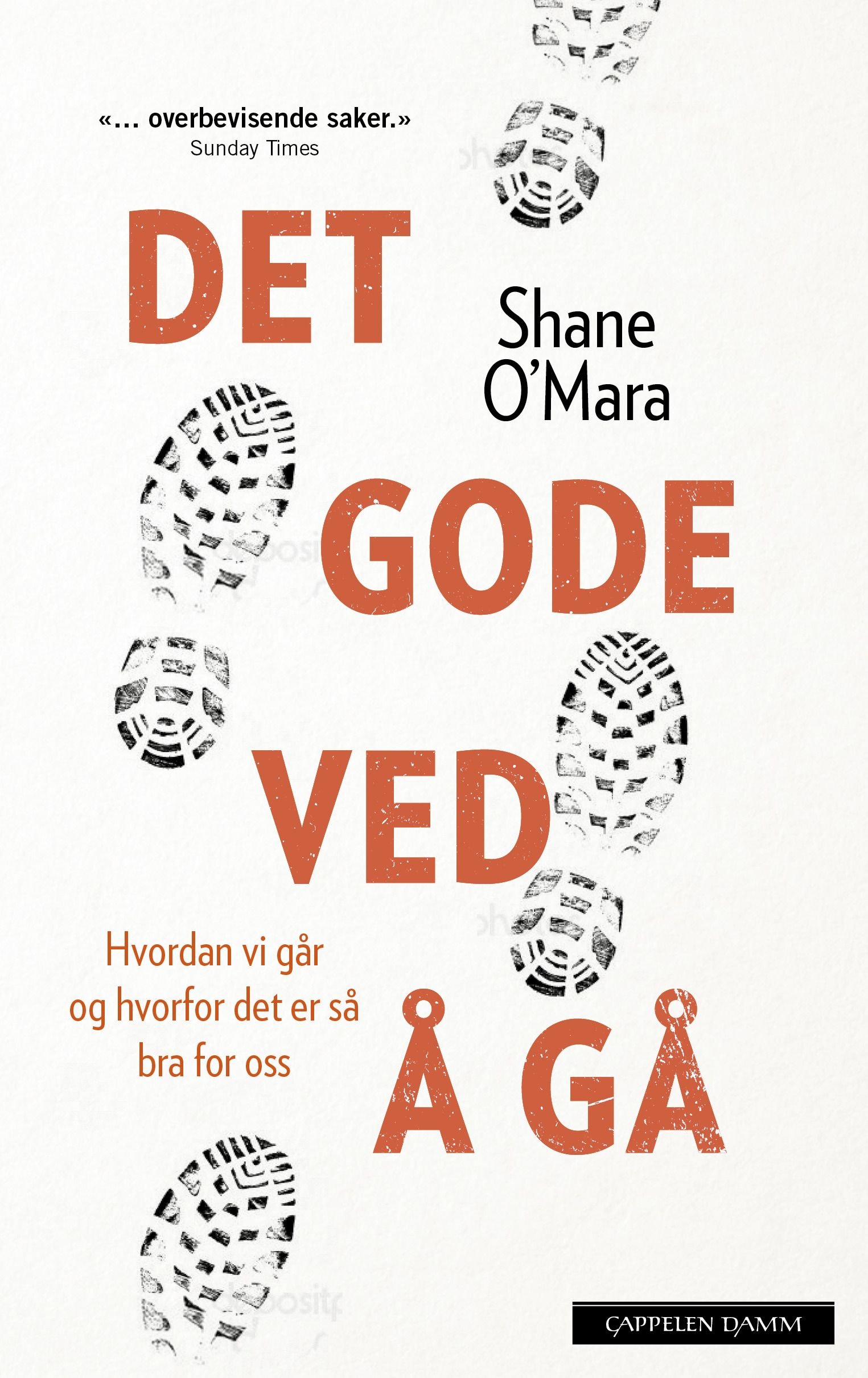 Det gode ved å gå - hvordan vi går og hvorfor det er så bra for oss