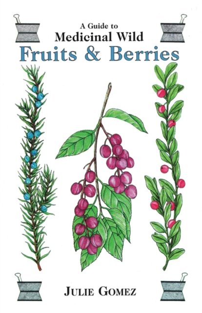 A Guide to Medicinal Wild Fruits & Berries