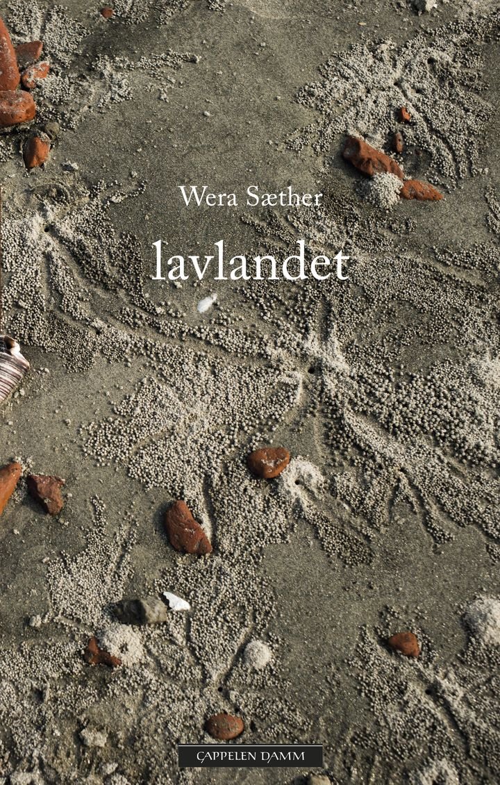 Lavlandet - roman