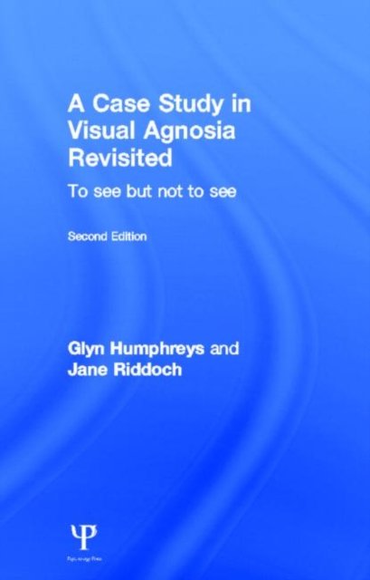 A Case Study in Visual Agnosia Revisited