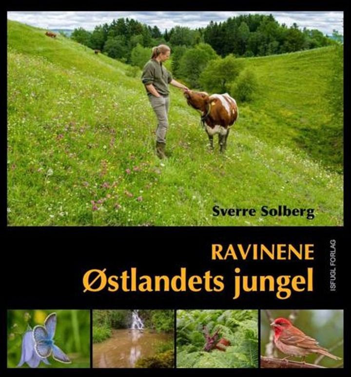 Ravinene - Østlandets jungel