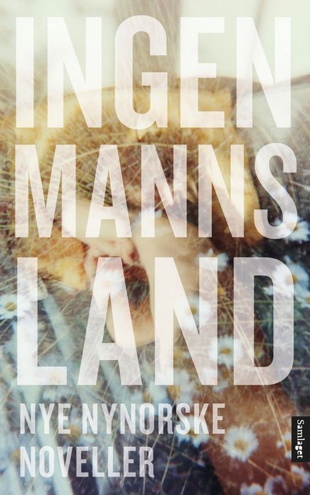 Ingenmannsland