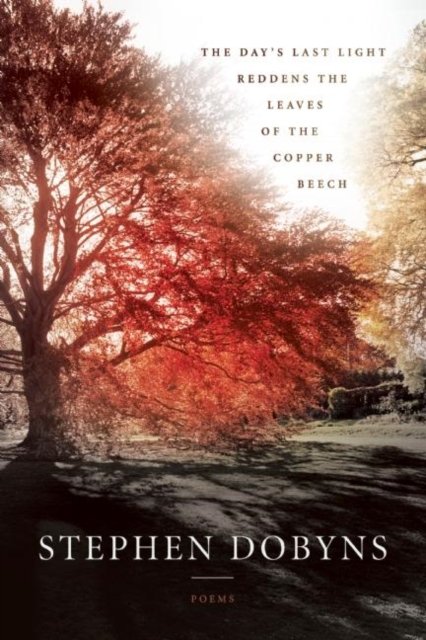 The Day''s Last Light Reddens the Leaves of the Copper Beech