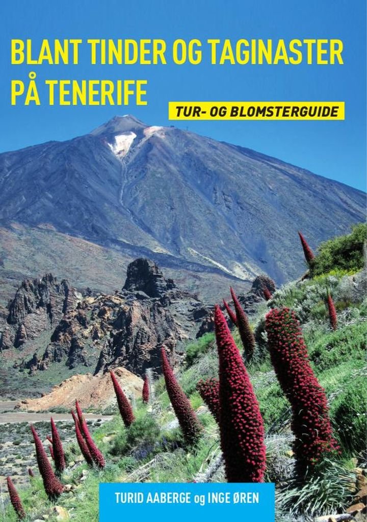 Blant tinder og taginaster på Tenerife - tur og blomsterguide : 60 turer og 400 blomster