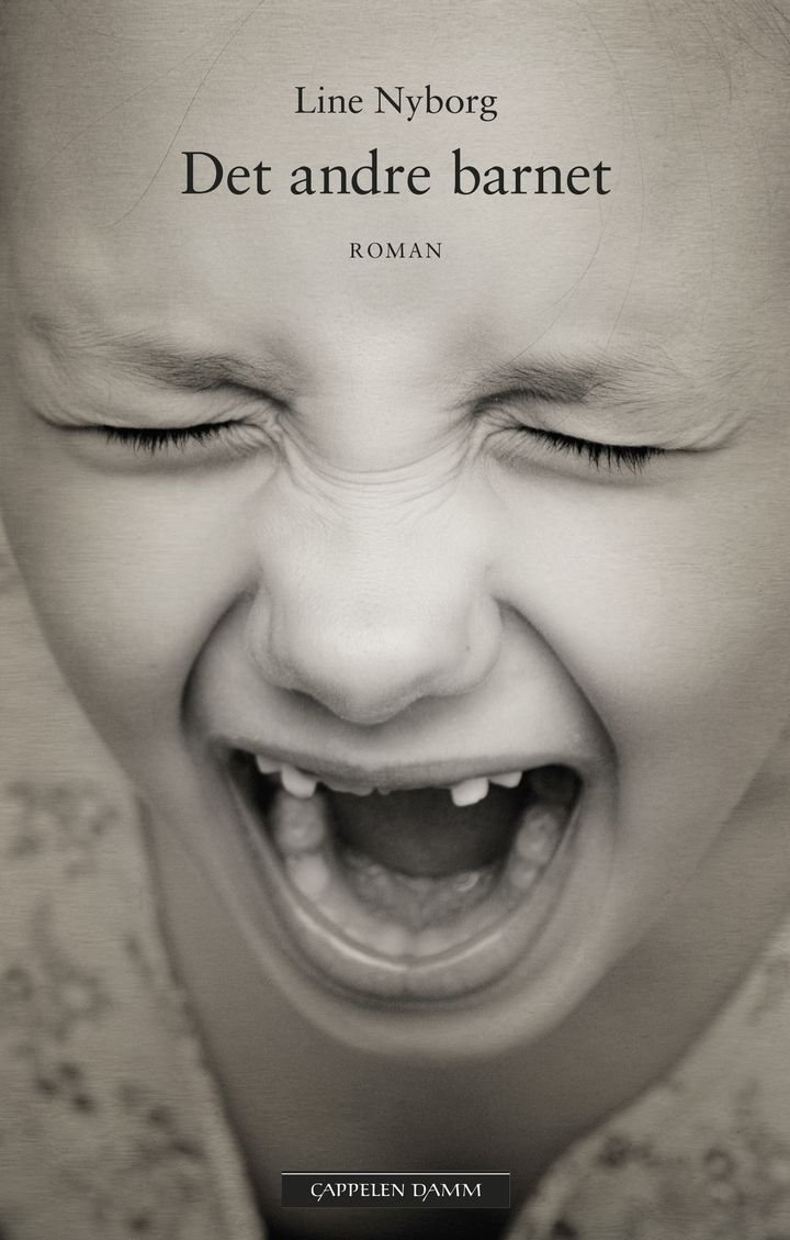 Det andre barnet - roman