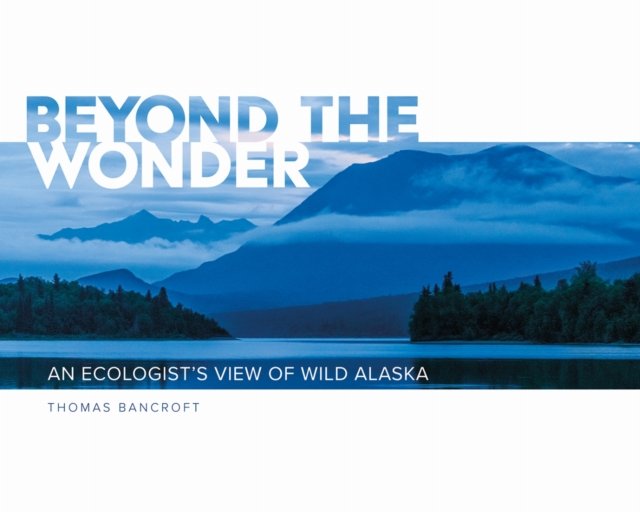 Beyond the Wonder