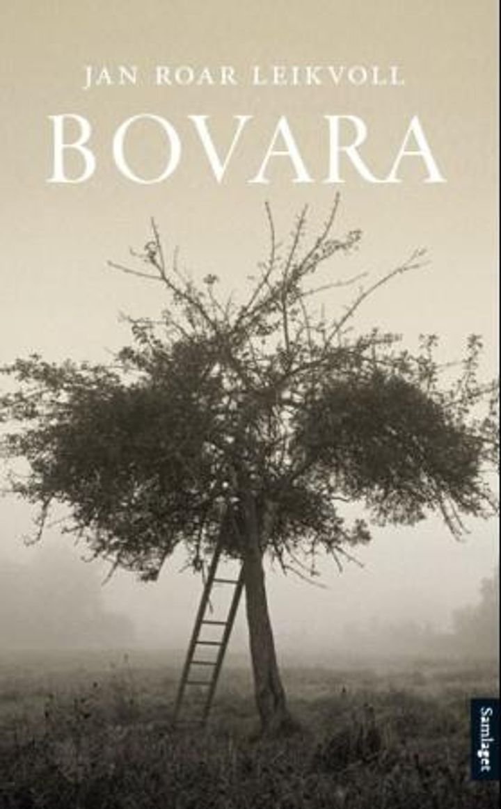 Bovara - roman