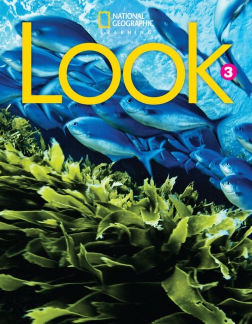 Look 3: Workbook