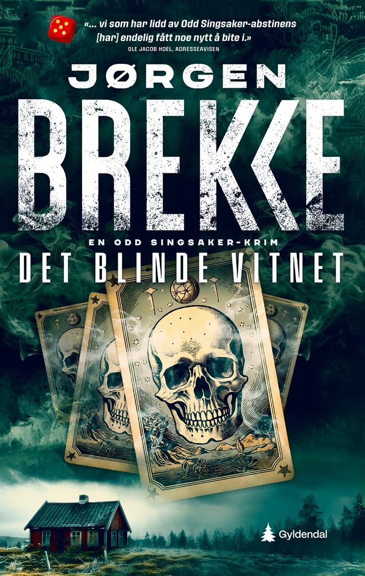 Det blinde vitnet - en Odd Singsaker-krim