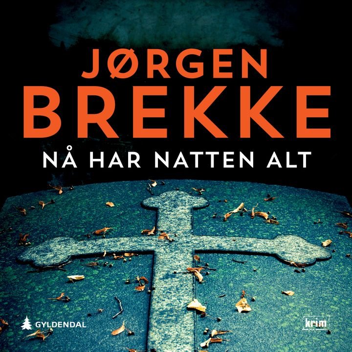 Nå har natten alt - kriminalroman