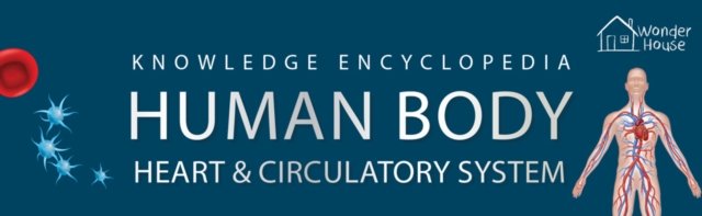 Human Body