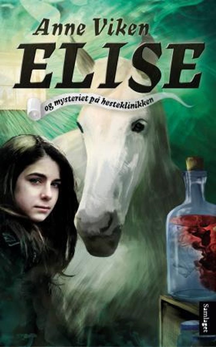 Elise og mysteriet på hesteklinikken - roman