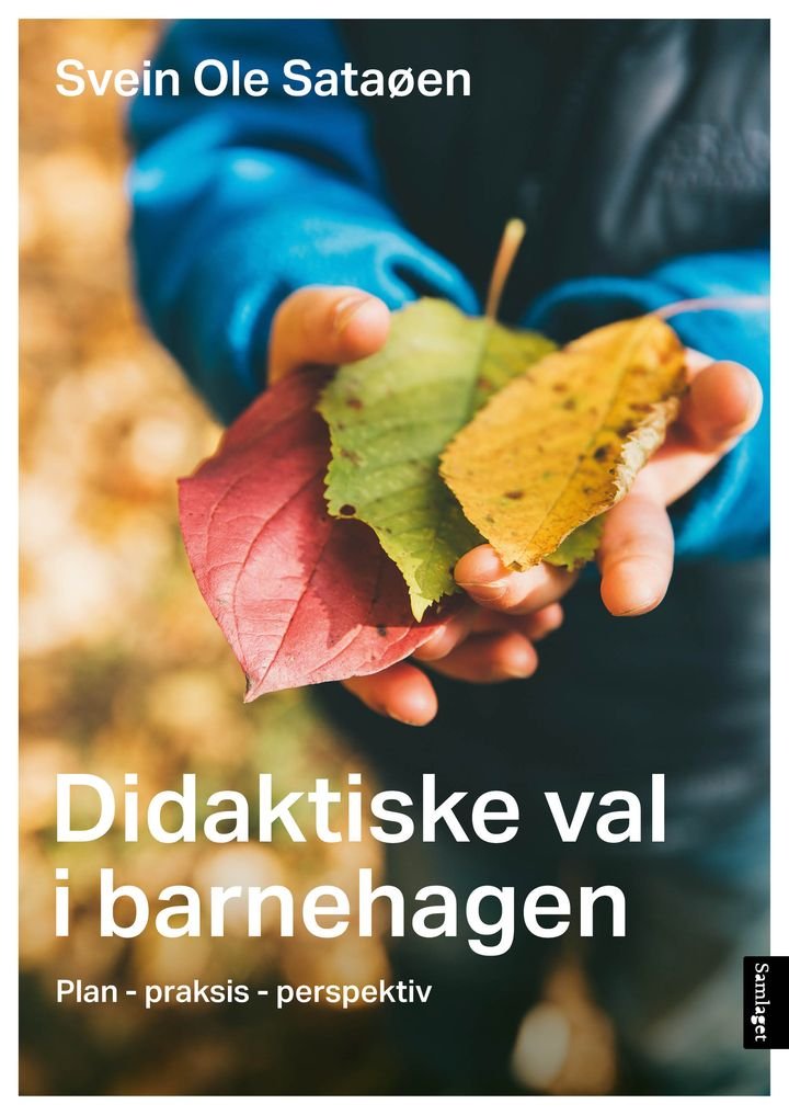 Didaktiske val i barnehagen - plan, praksis, perspektiv