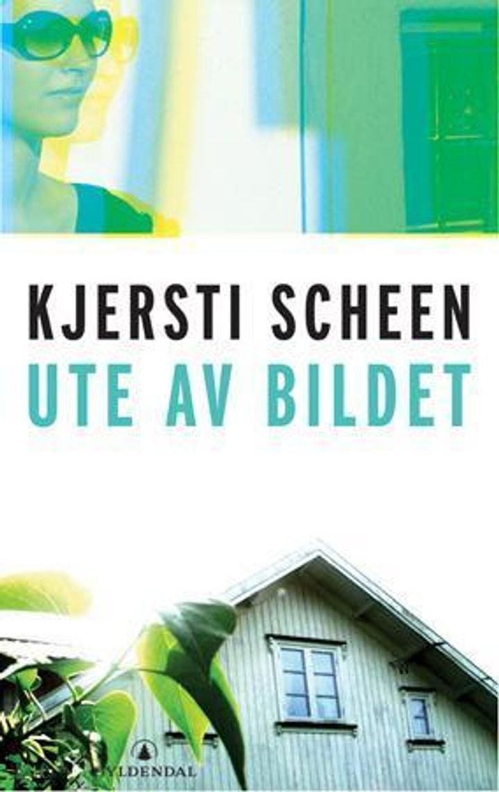 Ute av bildet - roman