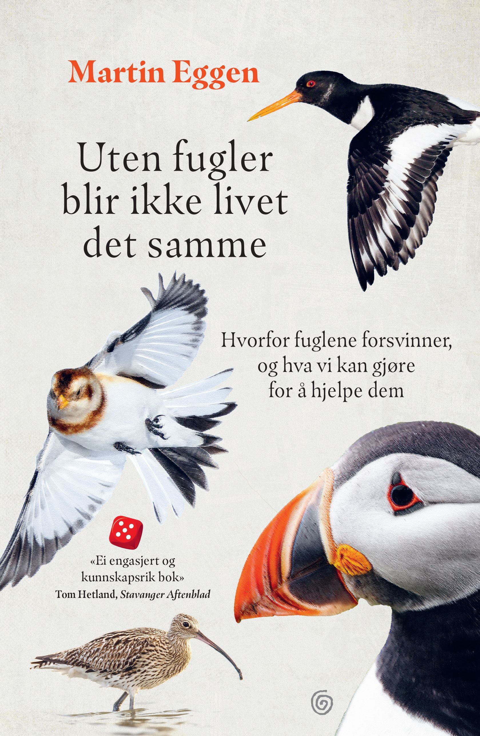 Uten fugler blir ikke livet det samme - hvorfor fuglene forsvinner, og hva vi kan gjøre for å hjelpe dem