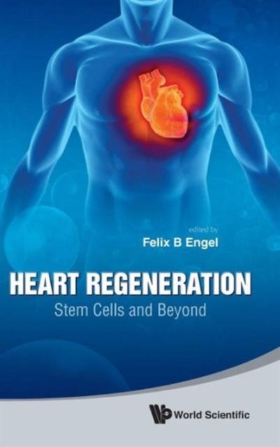 Heart Regeneration