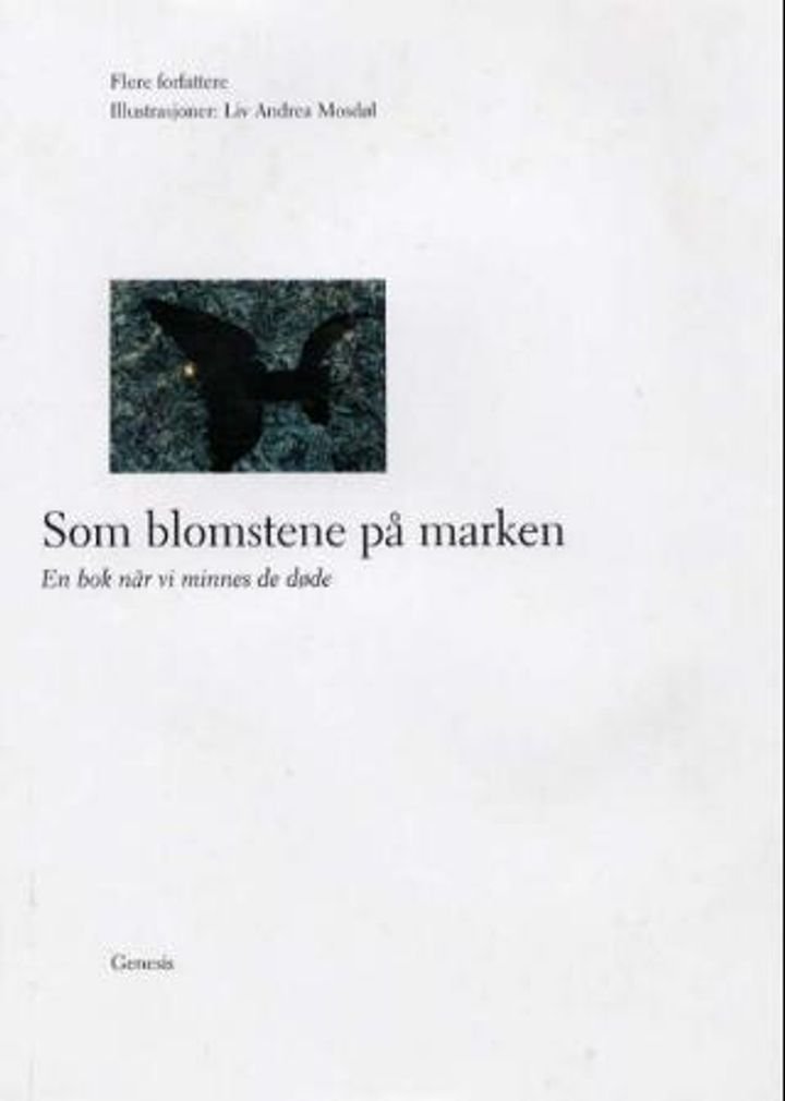 Som blomstene på marken - en bok når vi minnes de døde