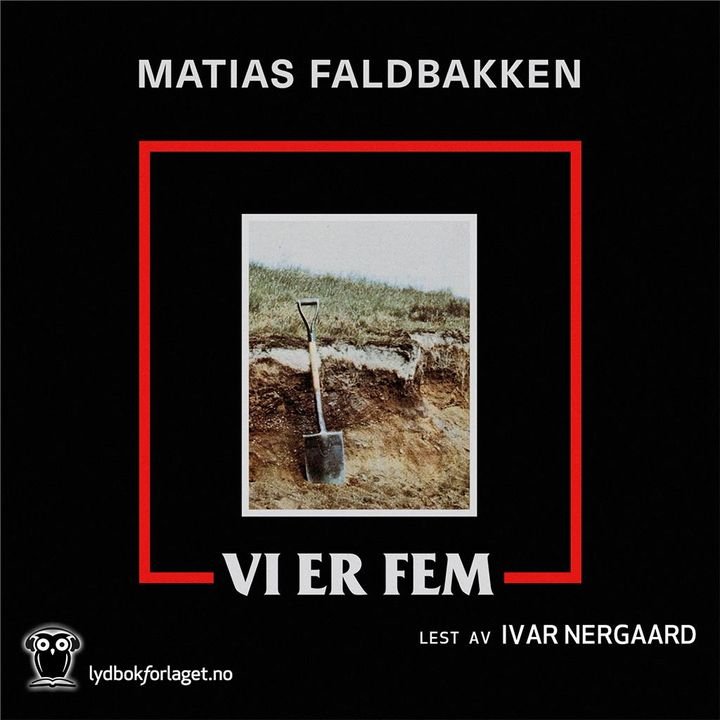 Vi er fem - roman