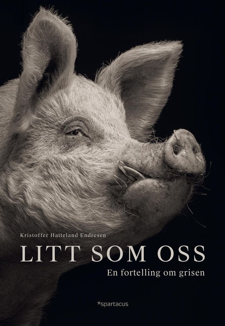Litt som oss - en fortelling om grisen