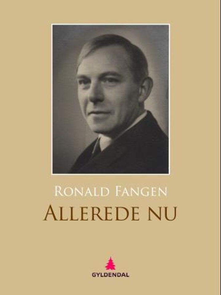 Allerede nu - roman