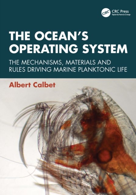 The Ocean’s Operating System