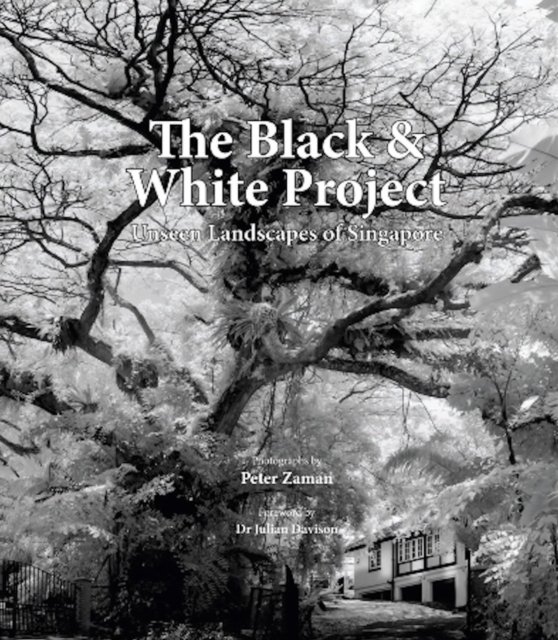 Black and White Project