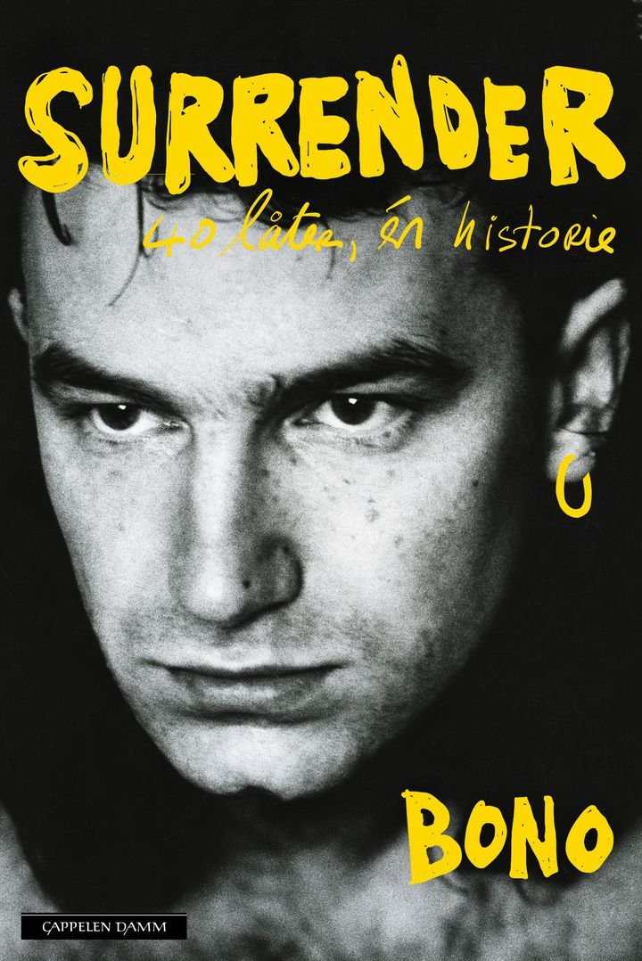 Surrender - 40 låter, én historie