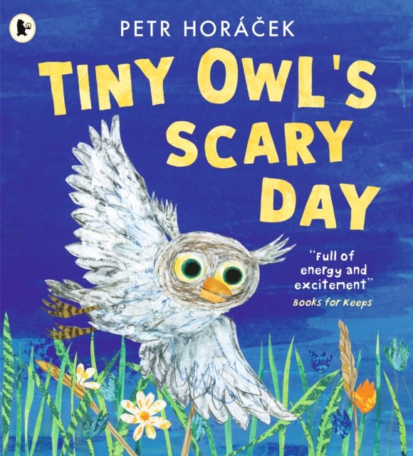 Tiny Owl''s Scary Day