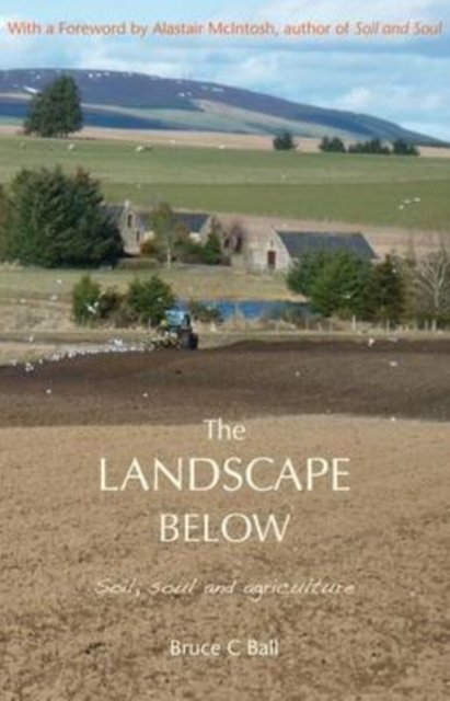 The Landscape Below