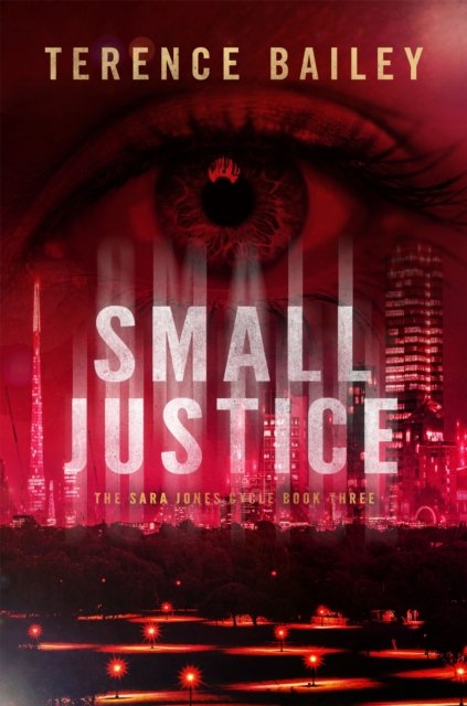 Small Justice