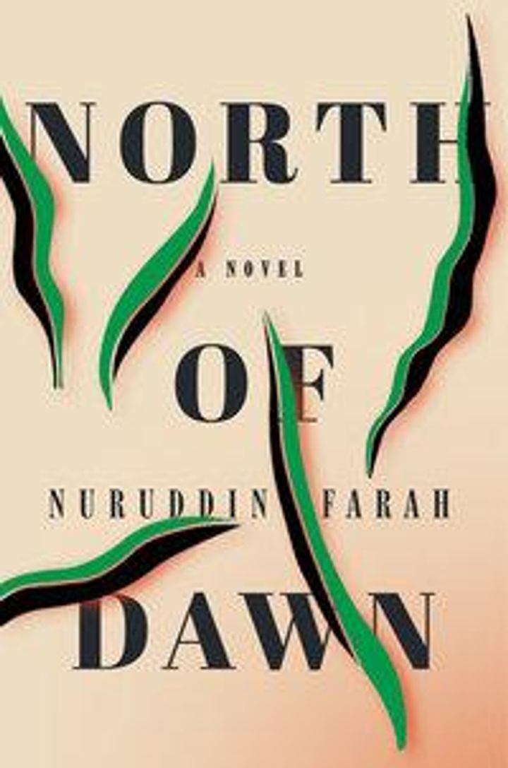 North of dawn