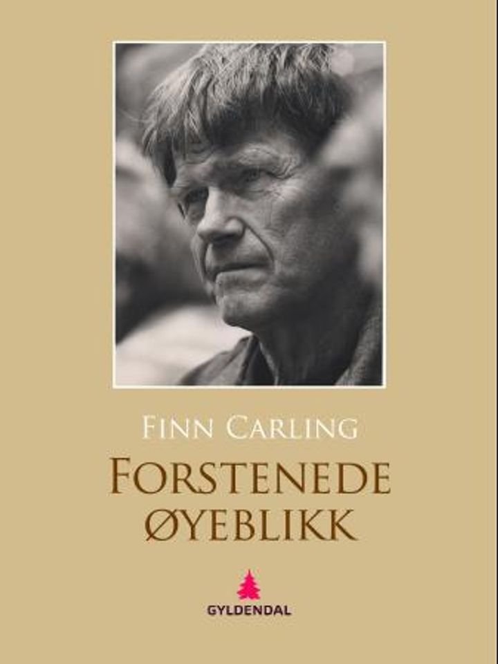 Forstenede øyeblikk