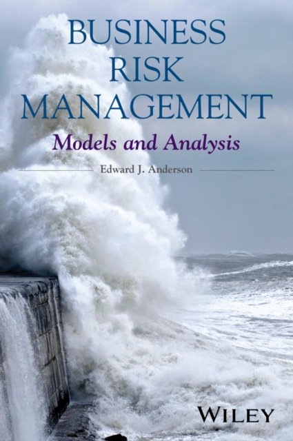 Business Risk Management – Models and Analysis