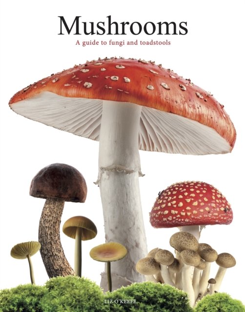 Mushrooms