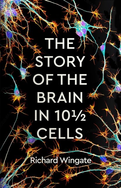 The Story of the Brain in 10½ Cells