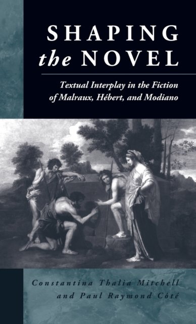 Shaping the Novel