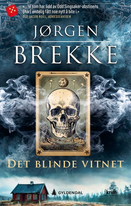 Det blinde vitnet