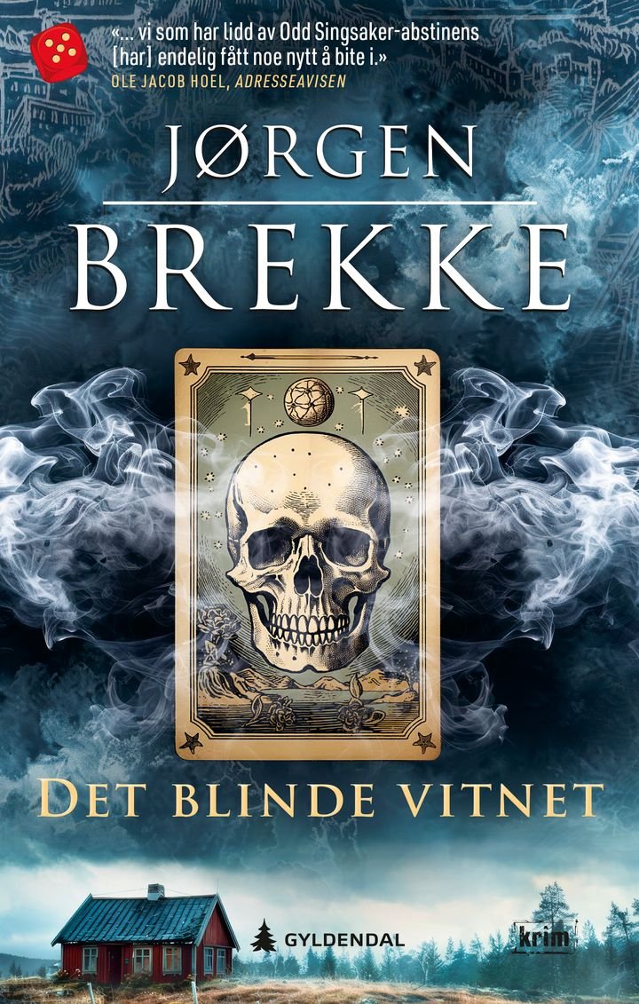 Det blinde vitnet - en Odd Singsaker-krim