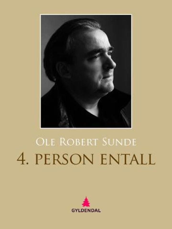 4. person entall - essays