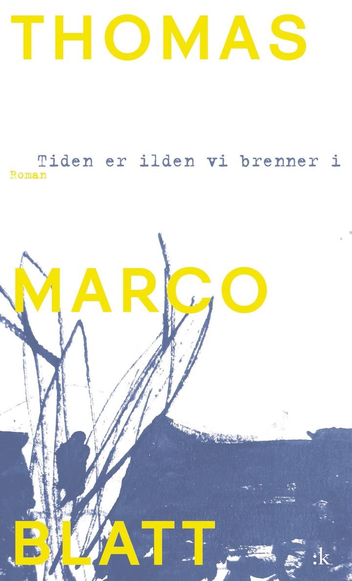 Tiden er ilden vi brenner i - roman