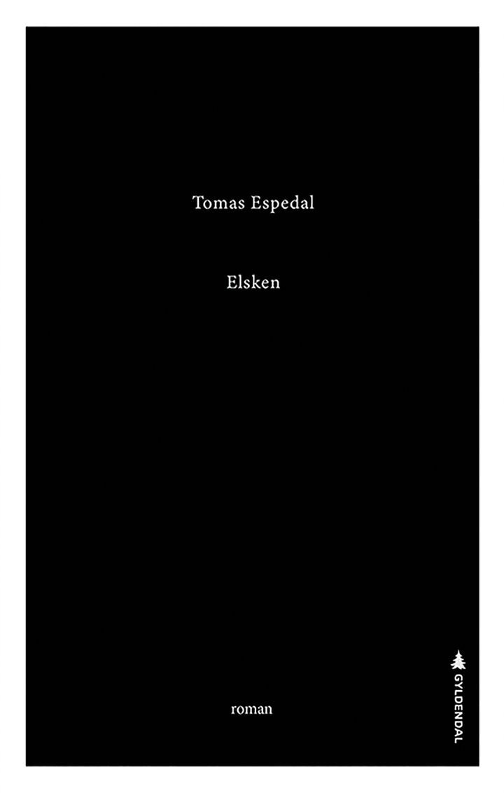 Elsken - roman